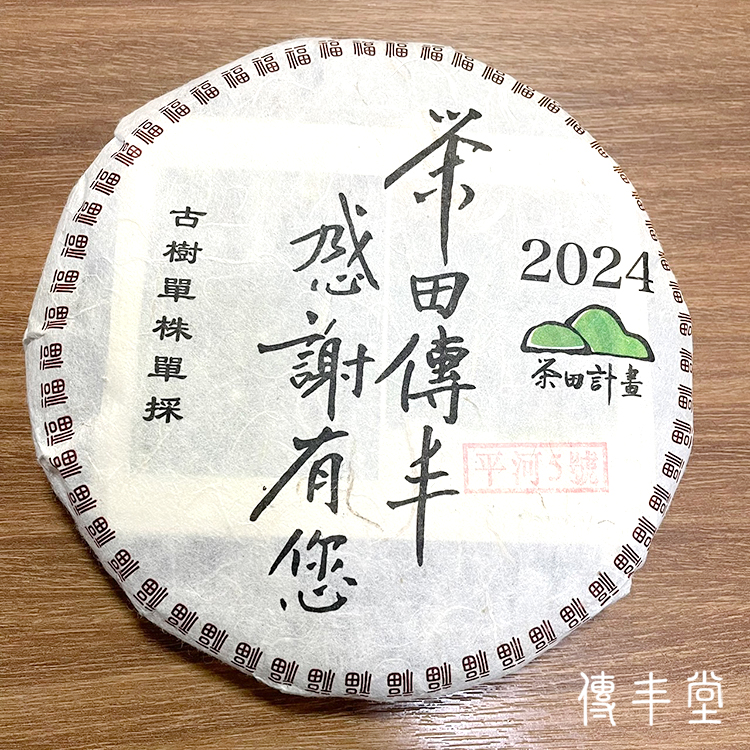 2024年 單株古樹青餅(平河古樹-編號5)